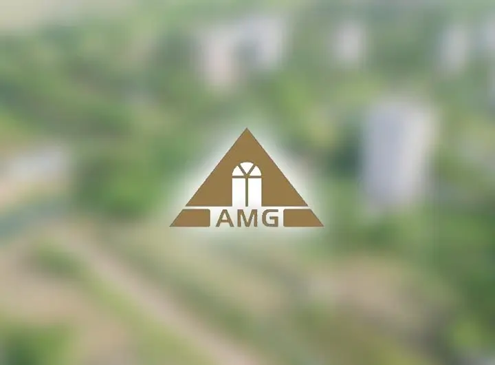 Amin Mohammad Group Logo